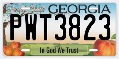 GA license plate PWT3823