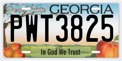 GA license plate PWT3825