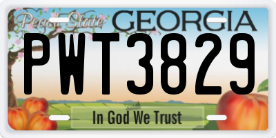 GA license plate PWT3829