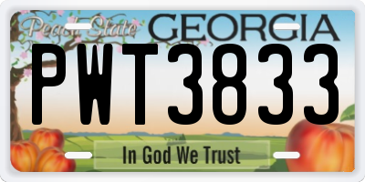 GA license plate PWT3833