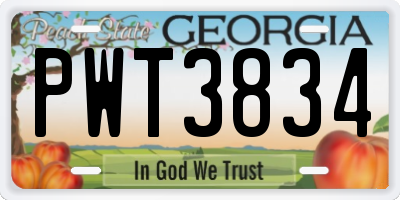 GA license plate PWT3834