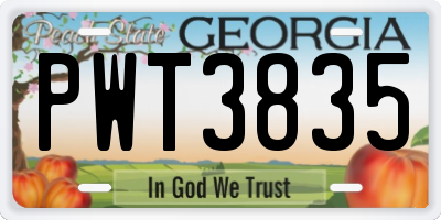 GA license plate PWT3835