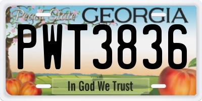 GA license plate PWT3836