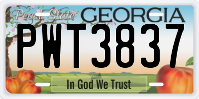 GA license plate PWT3837