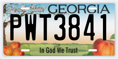 GA license plate PWT3841