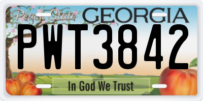 GA license plate PWT3842