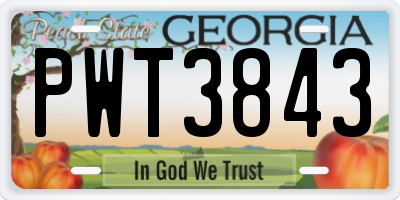 GA license plate PWT3843
