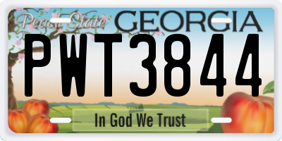 GA license plate PWT3844