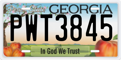 GA license plate PWT3845
