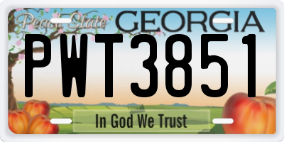 GA license plate PWT3851