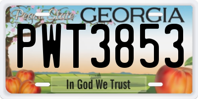 GA license plate PWT3853