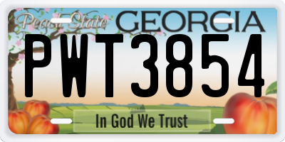 GA license plate PWT3854