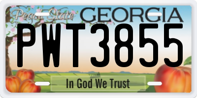 GA license plate PWT3855