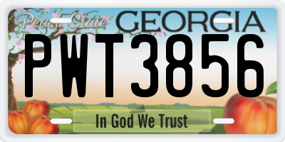 GA license plate PWT3856