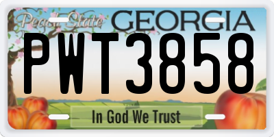 GA license plate PWT3858