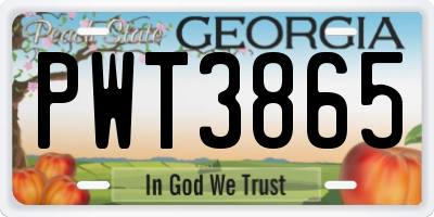 GA license plate PWT3865