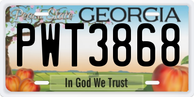 GA license plate PWT3868