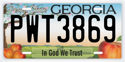 GA license plate PWT3869