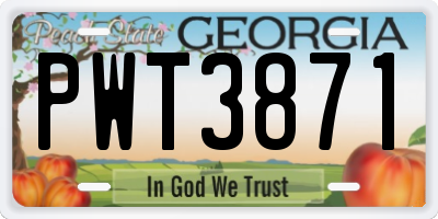 GA license plate PWT3871