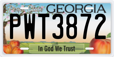 GA license plate PWT3872