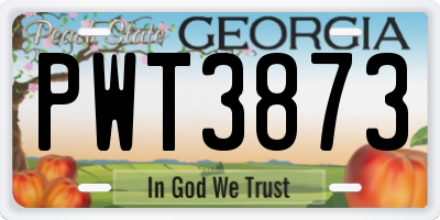 GA license plate PWT3873