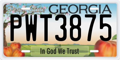 GA license plate PWT3875