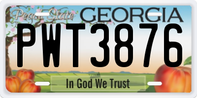 GA license plate PWT3876