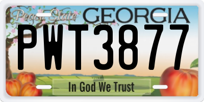 GA license plate PWT3877