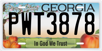 GA license plate PWT3878