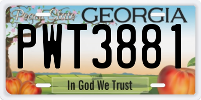 GA license plate PWT3881