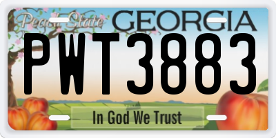 GA license plate PWT3883