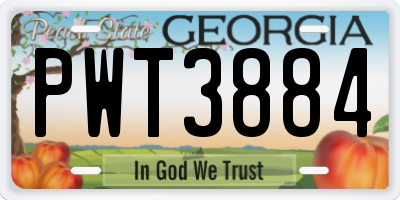 GA license plate PWT3884