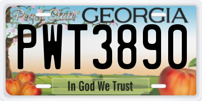 GA license plate PWT3890