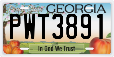 GA license plate PWT3891