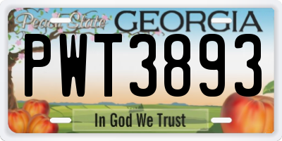 GA license plate PWT3893