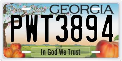 GA license plate PWT3894