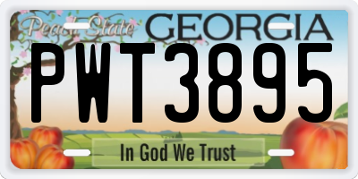 GA license plate PWT3895