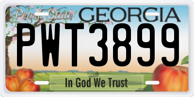 GA license plate PWT3899