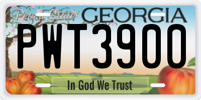 GA license plate PWT3900