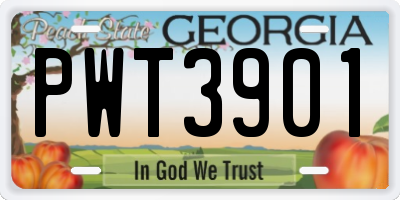 GA license plate PWT3901