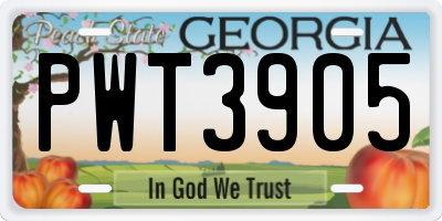 GA license plate PWT3905