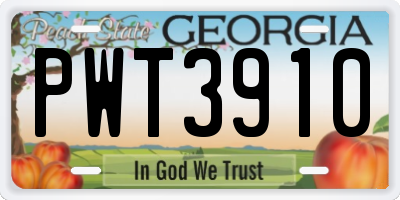 GA license plate PWT3910