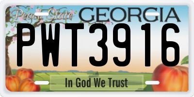 GA license plate PWT3916
