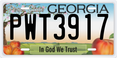 GA license plate PWT3917