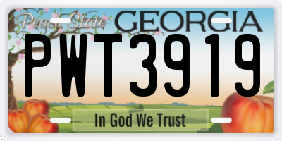 GA license plate PWT3919