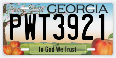 GA license plate PWT3921