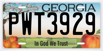 GA license plate PWT3929