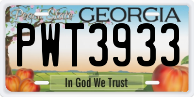 GA license plate PWT3933