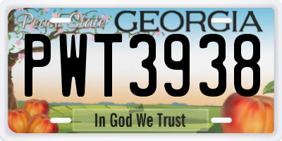 GA license plate PWT3938