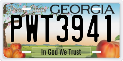 GA license plate PWT3941